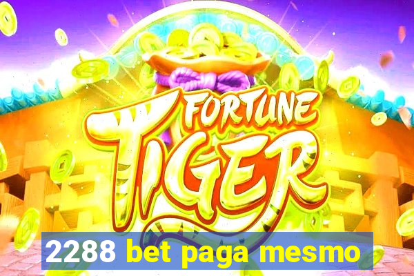 2288 bet paga mesmo